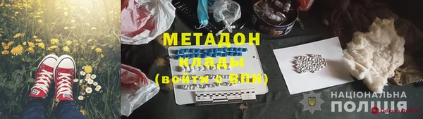 шишки Алзамай