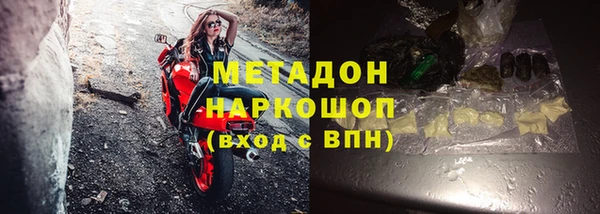 стаф Алексин