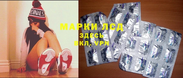 шишки Алзамай