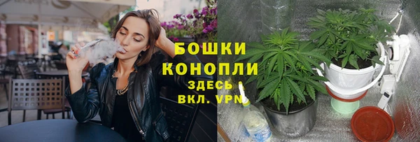 твердый Приозерск