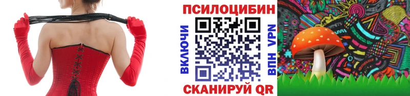 где купить наркотик  MEGA tor  Псилоцибиновые грибы GOLDEN TEACHER  Чапаевск 