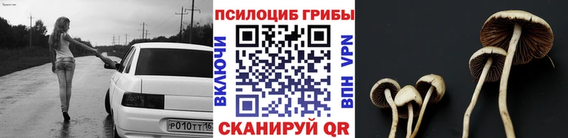 Псилоцибиновые грибы прущие грибы Чапаевск